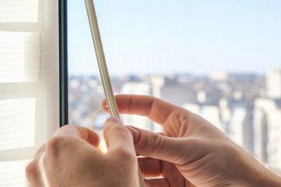 Consult Local Experts